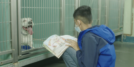 ASPCA Kid of the Year goes to great (and adorable) lengths to get shelter dogs adopted