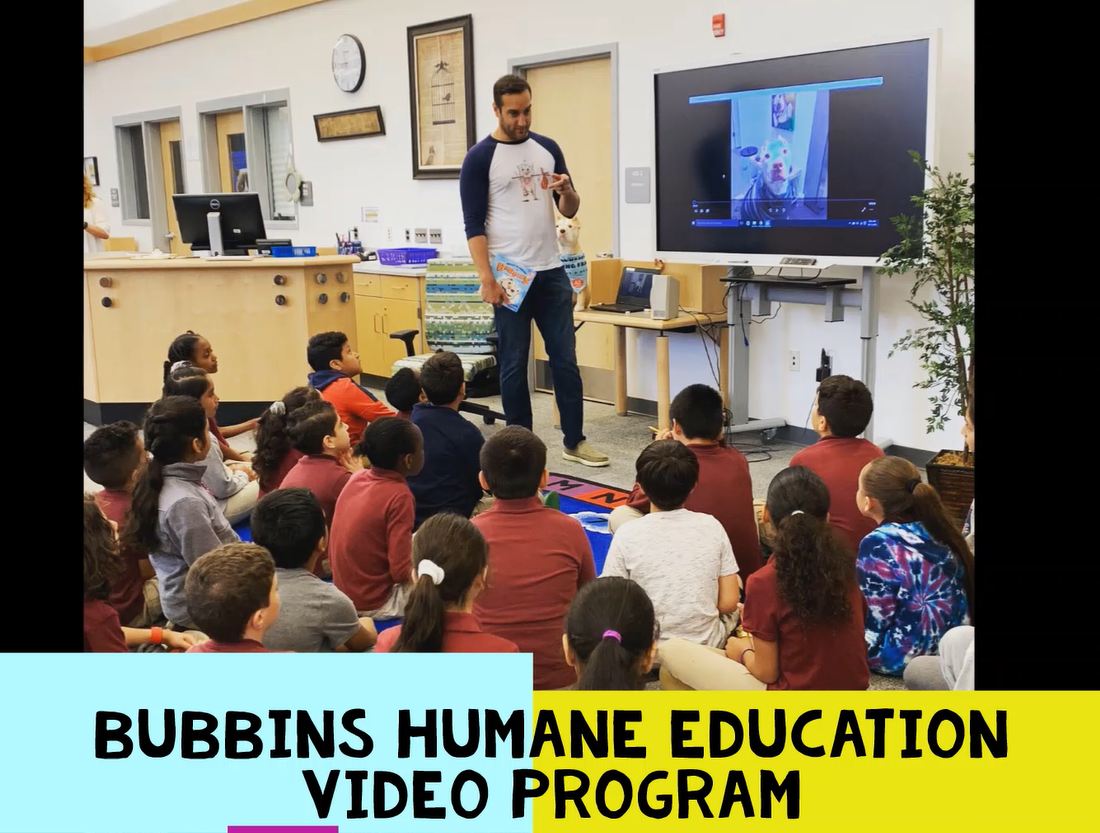 Bubbins Humane Education: Classroom Set