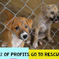 Bubbins Humane Education: Classroom Set