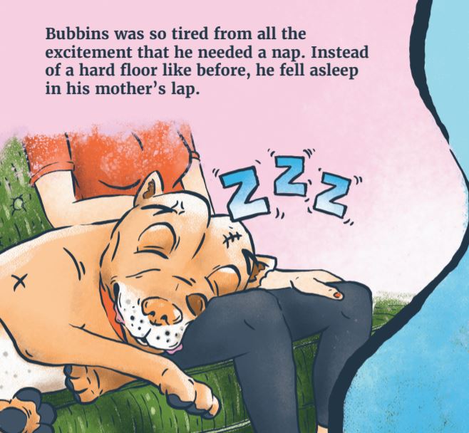 Belly Rubbins for Bubbins: First Day Home (Paperback)